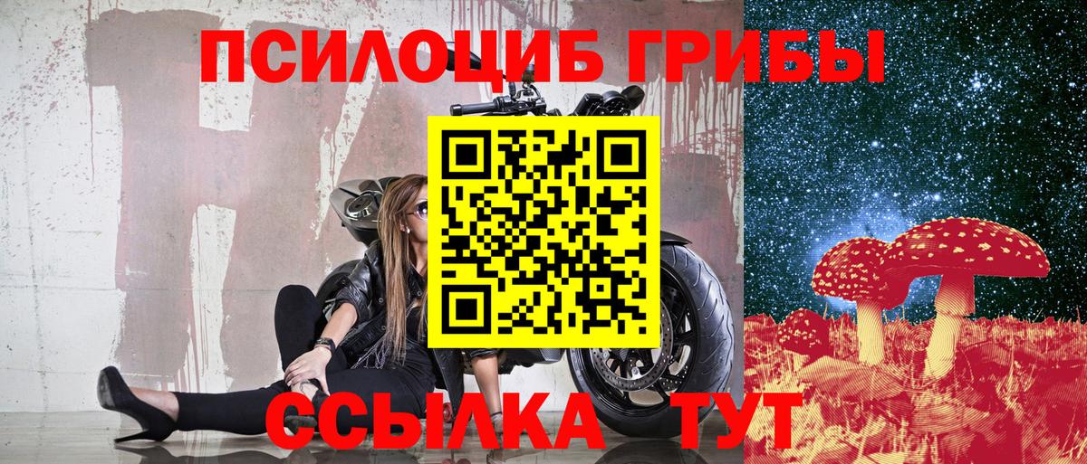 Сегежа  Псилоцибиновые грибы мицелий  Вход с VPN 