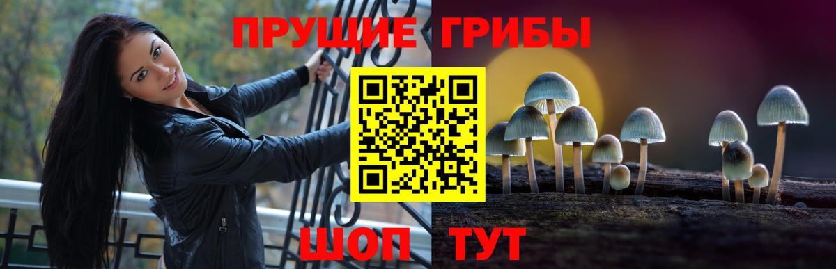 Псилоцибиновые грибы мицелий Сегежа